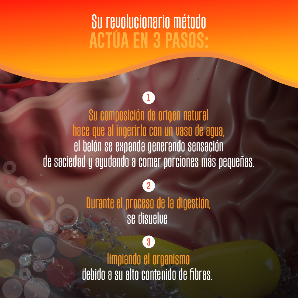 Encabezado