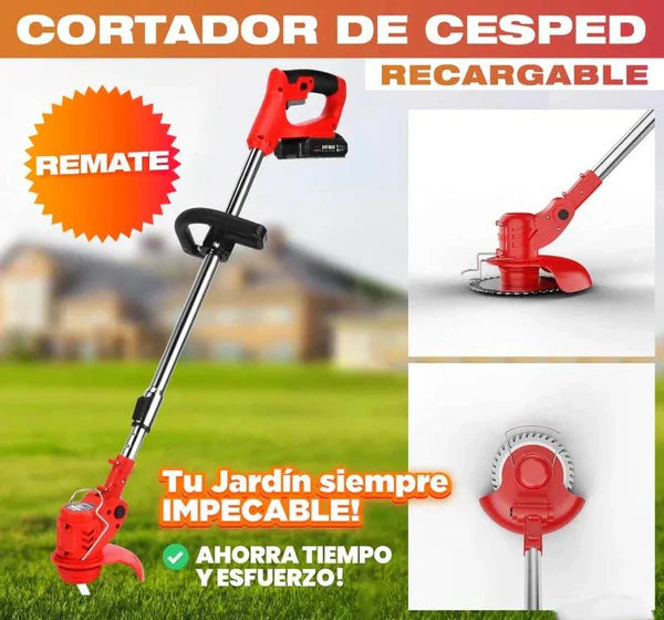 Encabezado