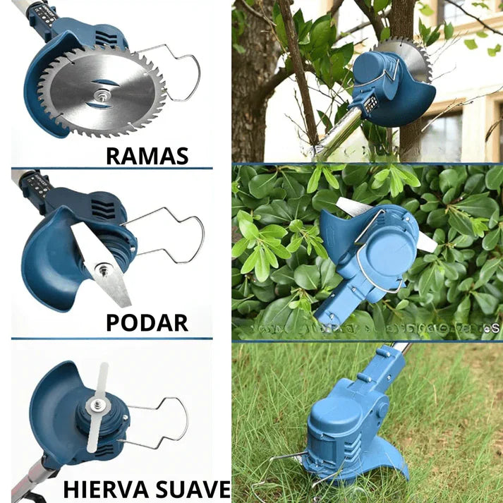 Encabezado