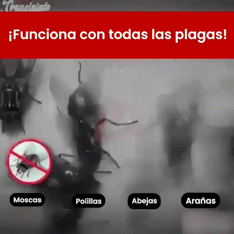 Bacterium Plus Salud Intestinal