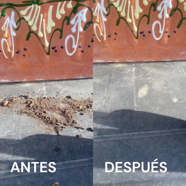 Encabezado