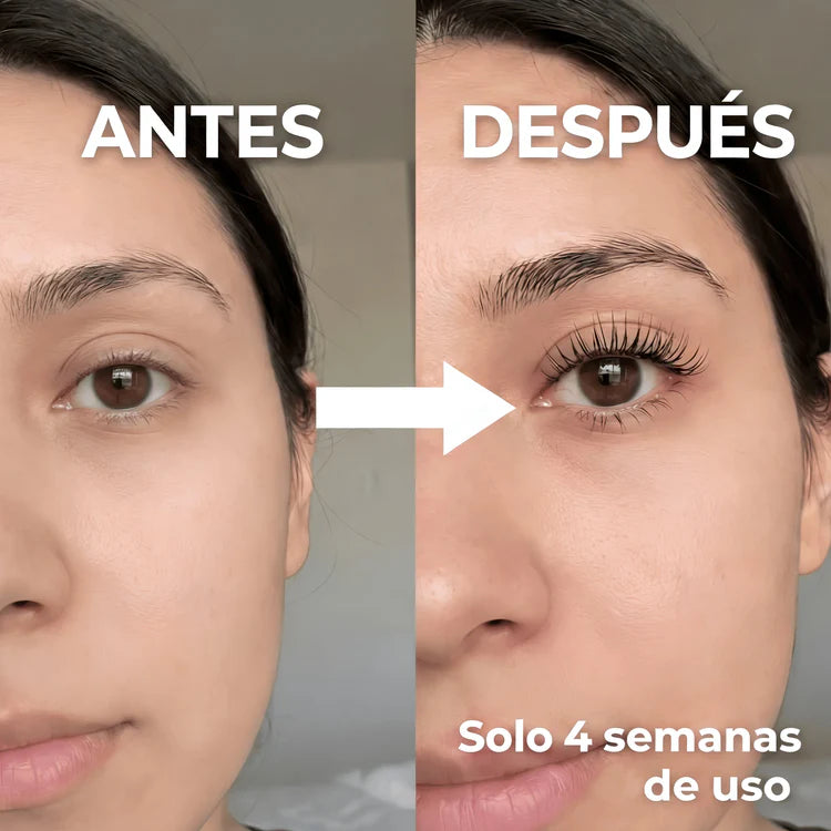 Encabezado