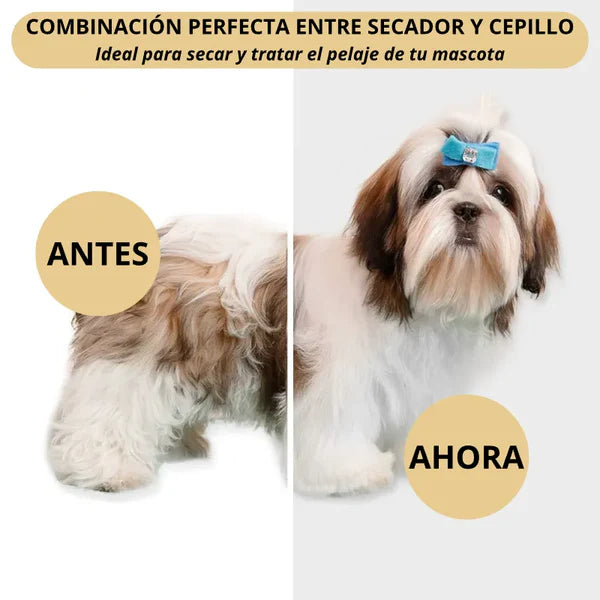 Bacterium Plus Salud Intestinal